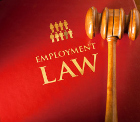 Employment Law Bucks County Family Law